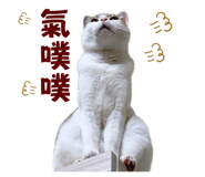 843433807