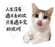 843433808