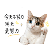 843433810