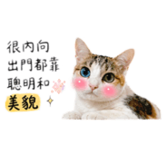 843433814