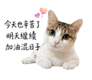 843433822