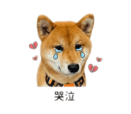843433922