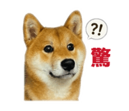 843433925