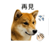 843433927