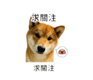 843433928