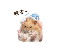843433930