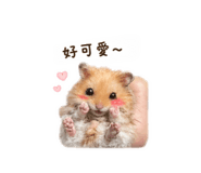 843433933