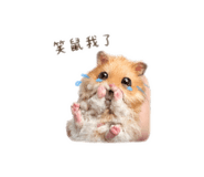 843433935