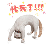 843434105