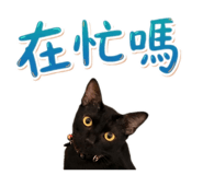 843434108