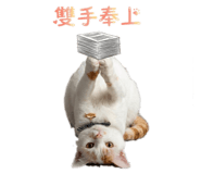843434110