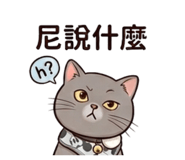 843434169