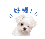 843434184