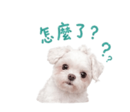 843434187