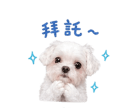 843434200