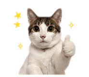 843434445