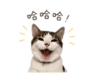 843434446