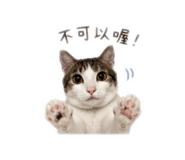 843434449