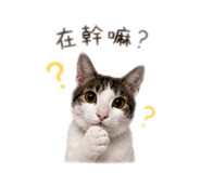 843434459