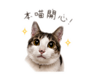 843434462
