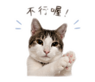 843434465