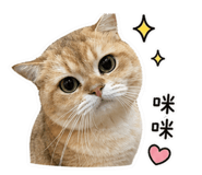 843434962