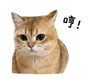 843434966