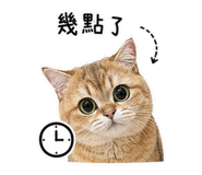 843434997