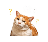 843435045