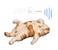 843435048