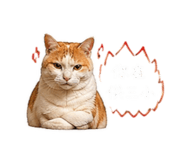 843435057
