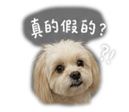 843435136