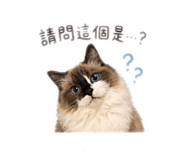 843436915