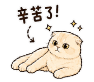 843436944