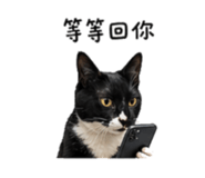 843437034