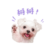 843437429