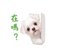 843437433