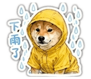 843440362