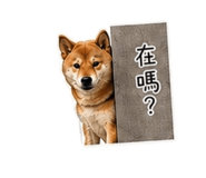 843440518
