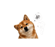843440521