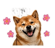 843440529