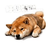843440530