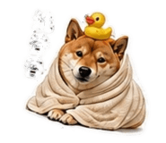 843440534