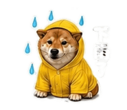 843440537