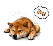 843440542