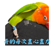 843440710