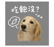 843441085