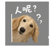 843441090