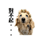 843441129