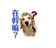 843441134